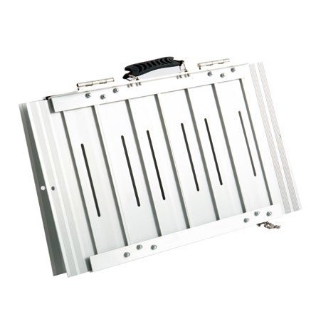 Portable Threshold Ramp — ETG ASSURE