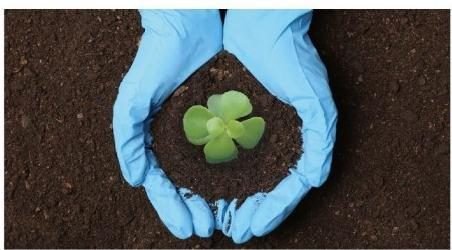 General-Purpose Protective Gloves — ETG ASSURE
